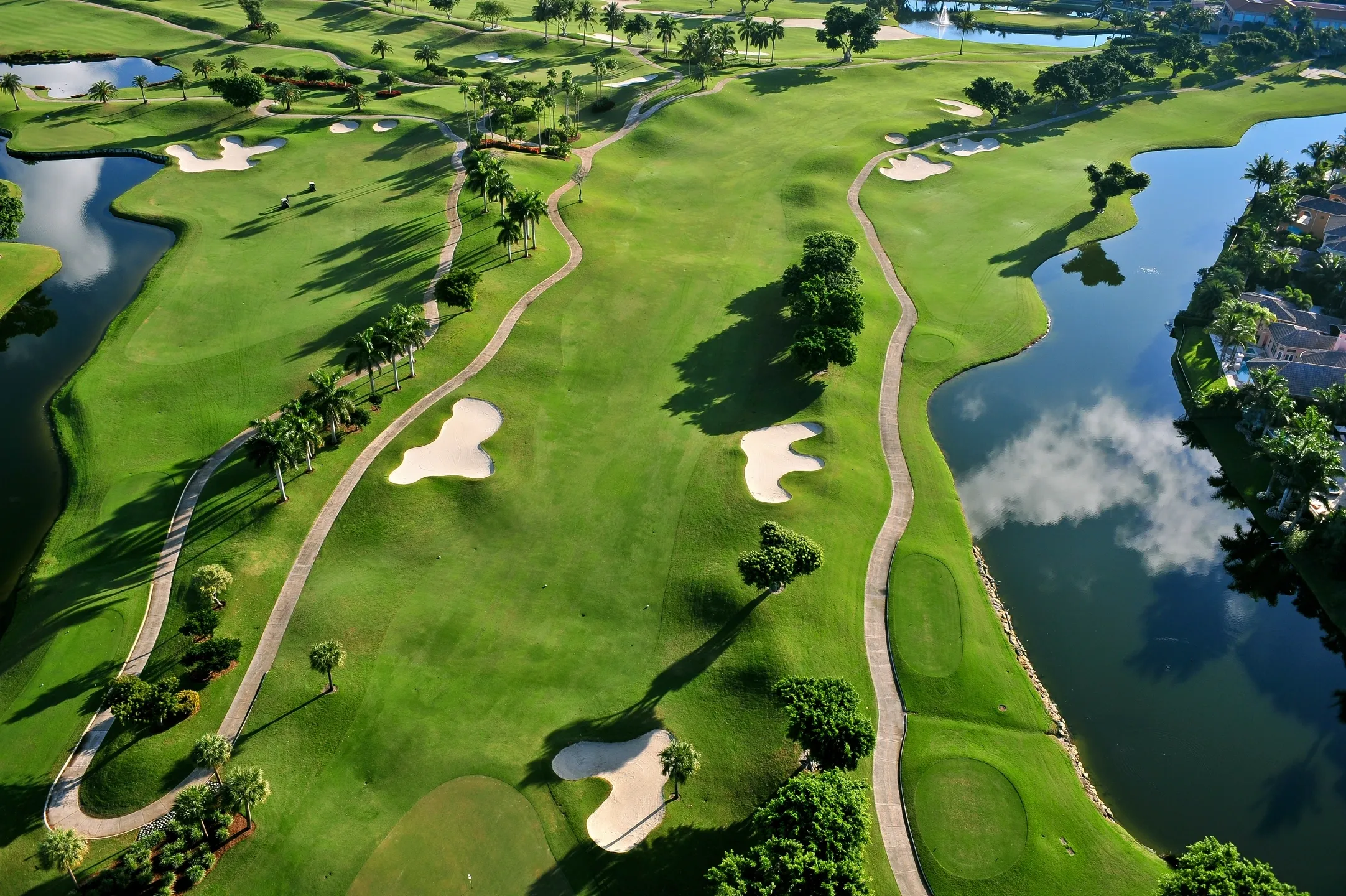 Aerial view of a golf course