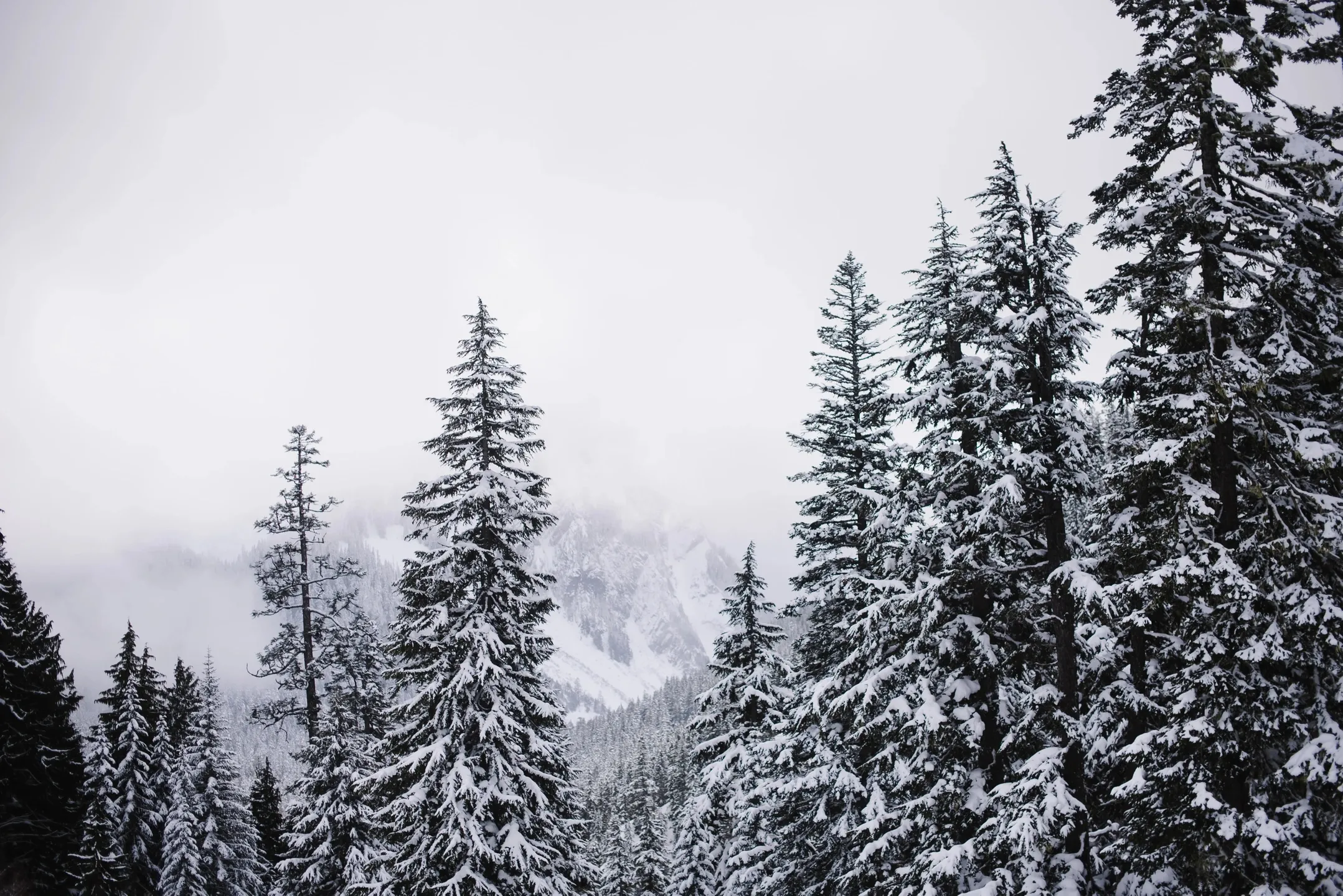 Snowy aerial landscape